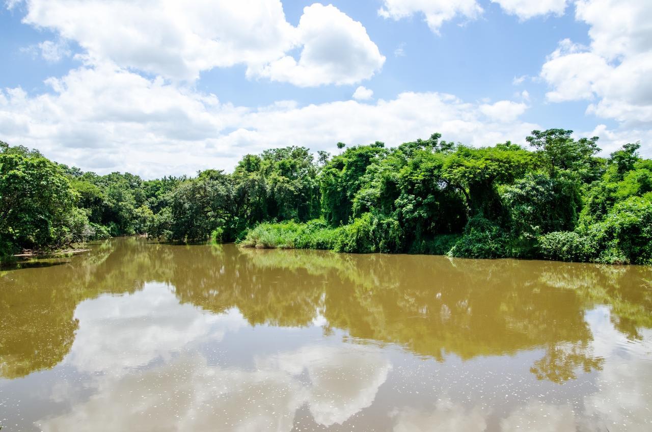 Hippo Waterfront Lodge Mbombela Kültér fotó